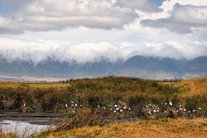 ReiseTraum GmbH - Image 6